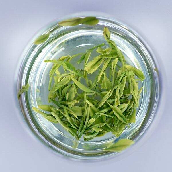 【茶功效】蒸青茶的特点 蒸青茶的制作过程