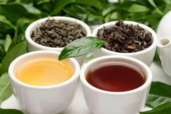 绿茶和红茶功效区别_绿茶和红茶哪个对身体更好
