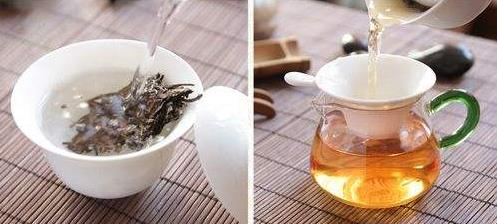 福鼎老白茶的冲泡方法！
