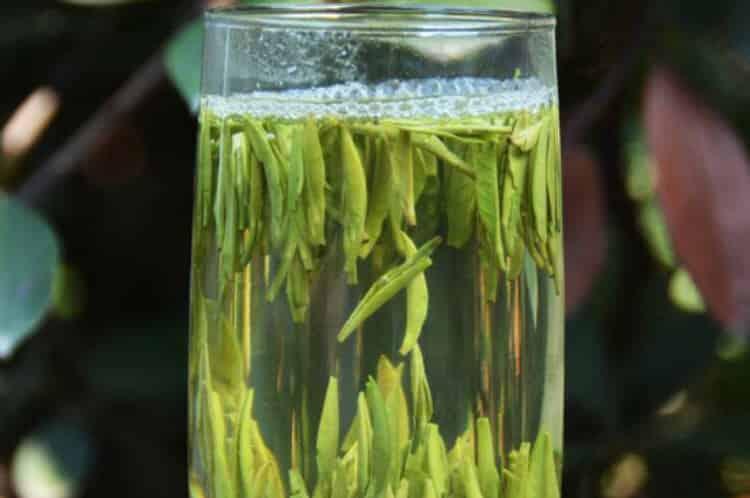 十大绿茶种类图片大全_中国最好的绿茶品种排名