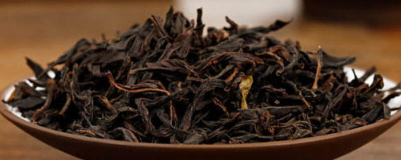 乌崇单丛属于什么茶？