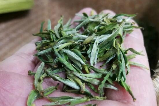 绿茶致癌是肯定的，长期喝绿茶的副作用