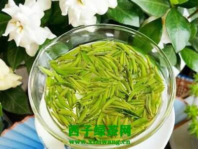 【茶功效】竹叶青属于绿茶吗 竹叶青的功效与作用