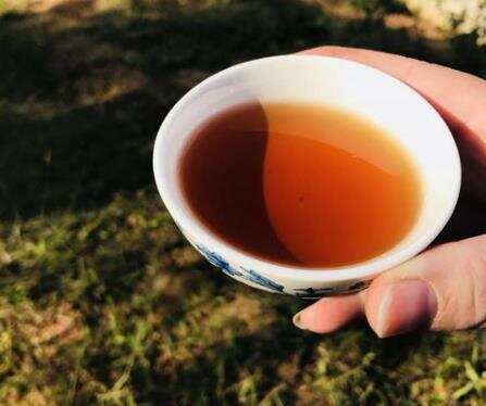 六堡茶的味道_广西六堡茶都有哪些味道？
