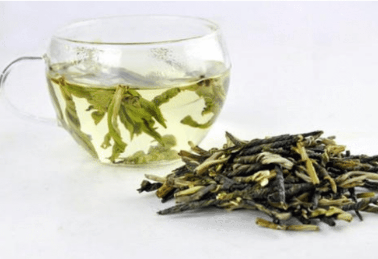 苦丁茶多少钱一斤 今年苦丁茶的价钱销售市场价格行情
