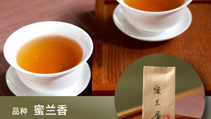 怎么保存凤凰凤凰茶的最佳保存方法