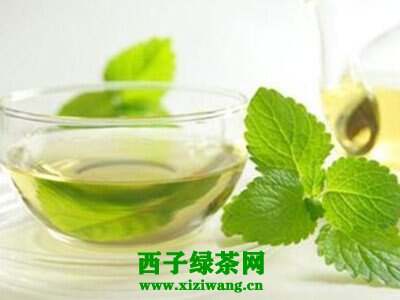 【茶功效】薄荷绿茶的功效与作用 喝薄荷绿茶的好处