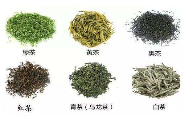 茶叶的分类与功效作用