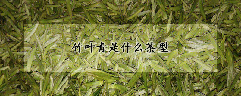 竹叶青是什么茶型？