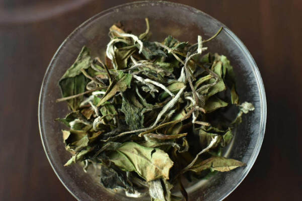 白牡丹茶属于什么茶类？茶叶白牡丹是什么茶？