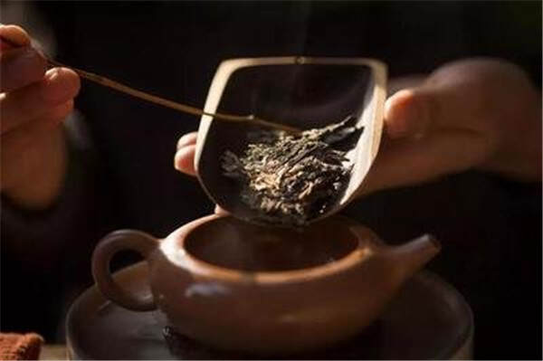 白茶的季节，一年中哪个季节的茶好？