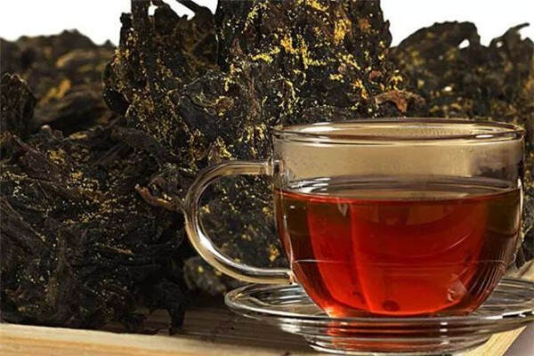 想喝懂黑茶，从香气、外形、汤色、叶底、滋味五大方面开始！