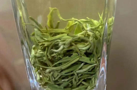 正宗崂山绿茶多少钱一斤_正宗崂山绿茶价格