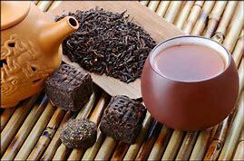 普洱茶为什么那么受欢迎？古树茶与台地茶