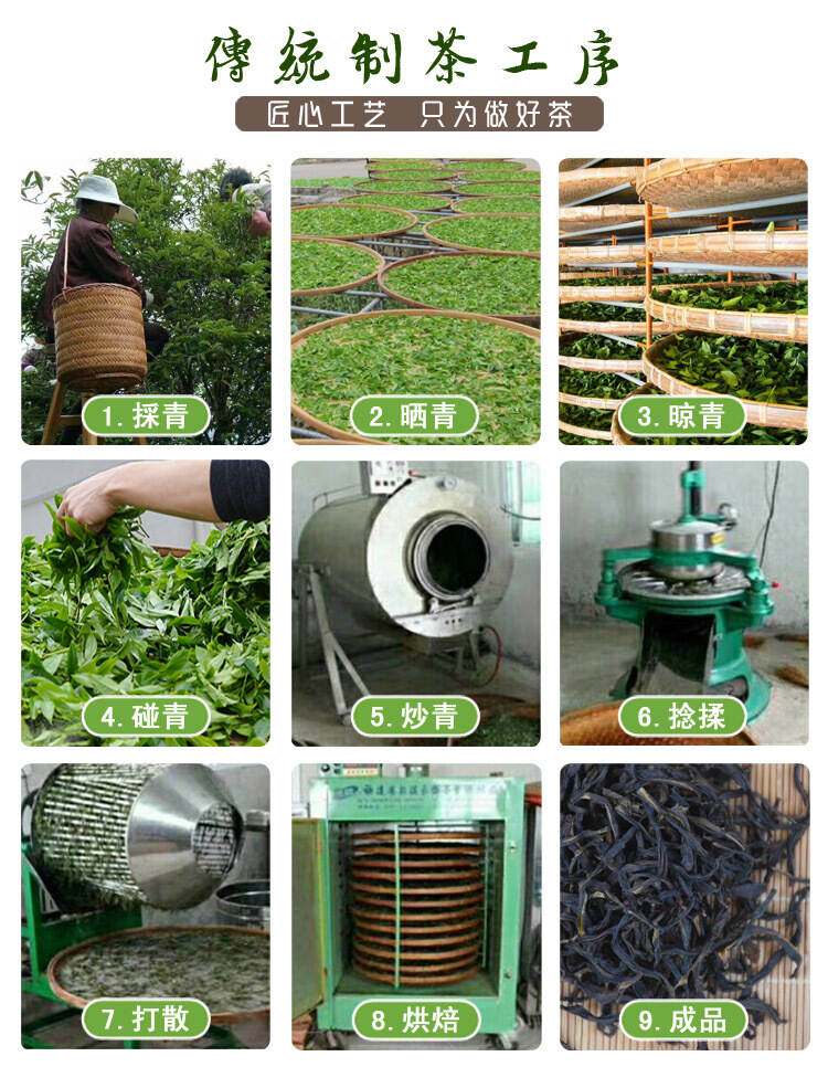 凤凰单枞茶的制作方法