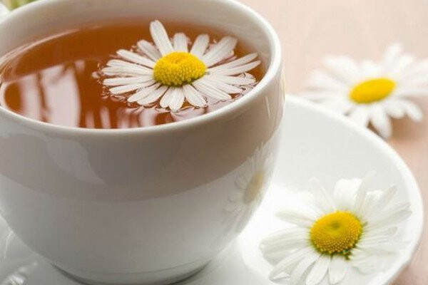 普洱茶怎么喝最好_普洱茶和什么搭配最好喝