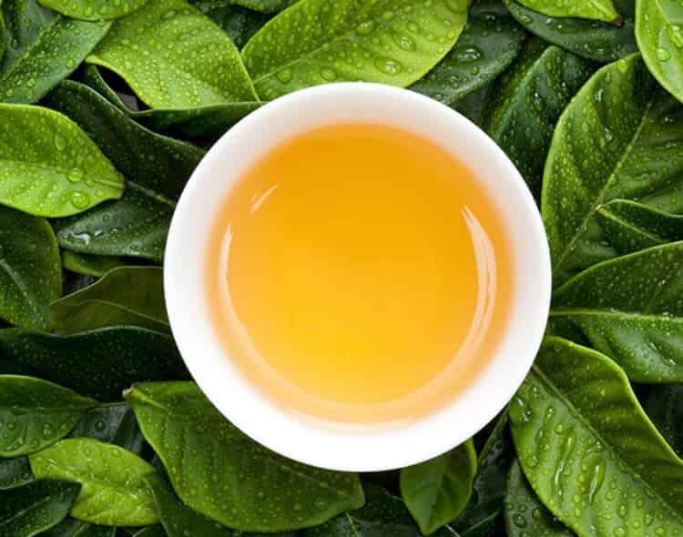 【收藏】哪种茶最健康？