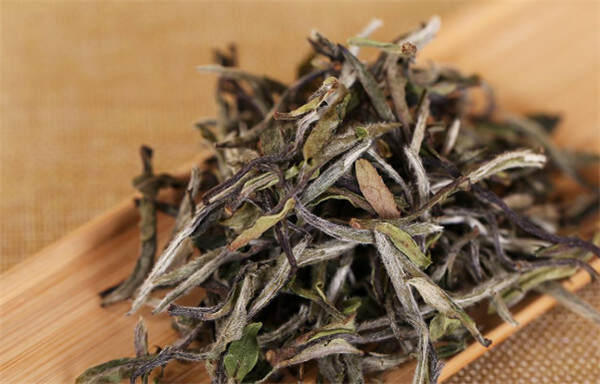 白茶,为什么被称为“茶中瑰宝”?