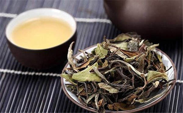 白茶的叶底香，透过叶底鉴别白茶品质