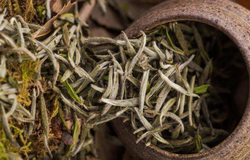 保存白茶是在保存什么？