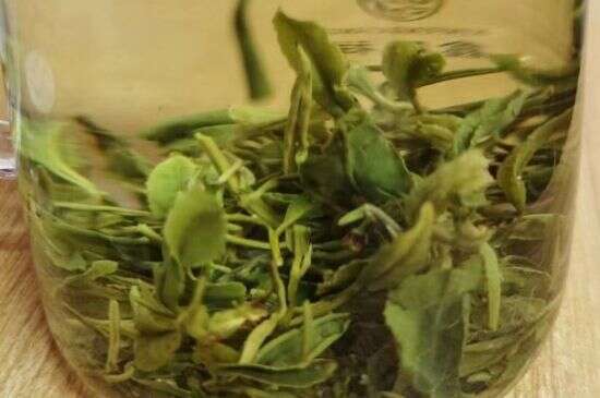 崂山绿茶多少钱一斤_崂山绿茶价格