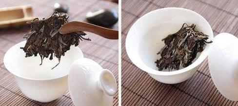 福鼎老白茶的冲泡方法！