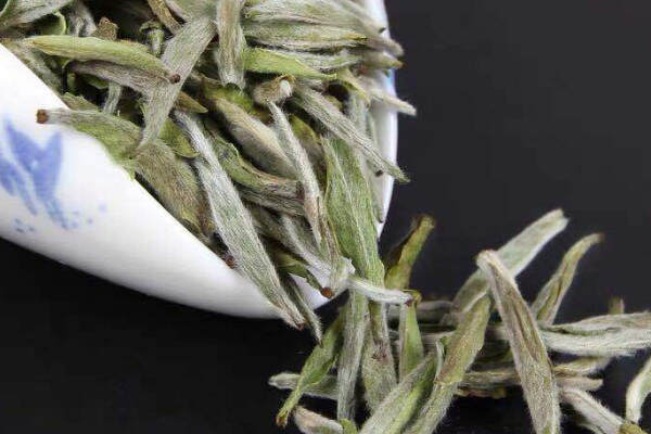 白茶种类_白茶品种有哪几种