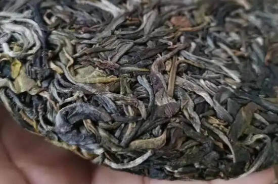 邦崴古树茶价格_邦崴古树茶多少钱一公斤？
