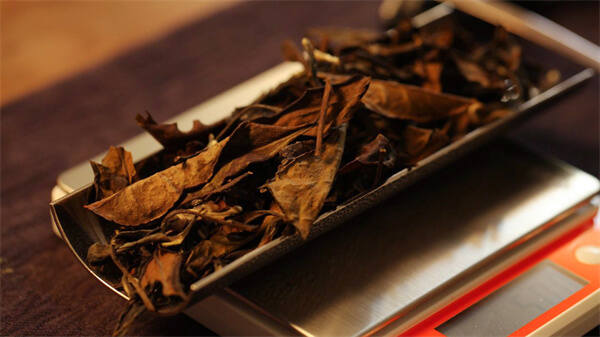白茶干燥工艺具有传统与现代的方法