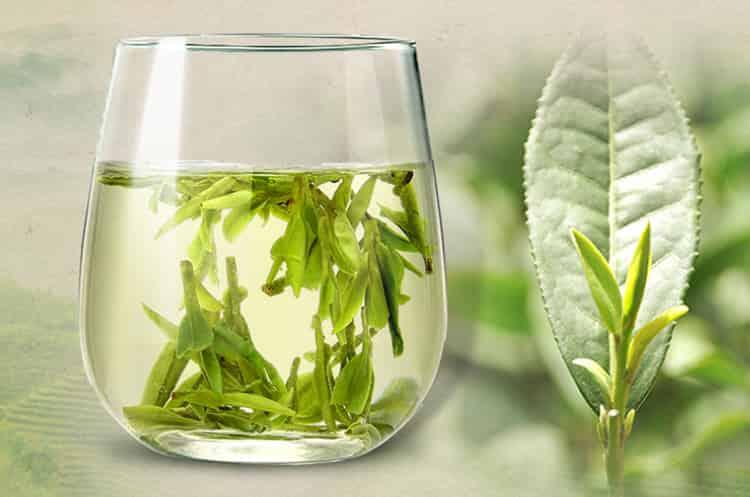 【收藏】茗茶是什么茶,是绿茶吗