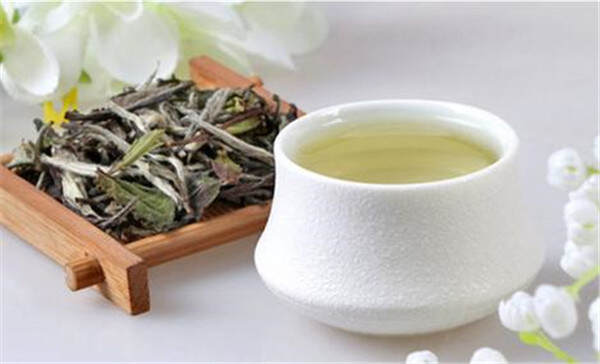白茶的品质和风味，真正会喝白茶的人能喝出