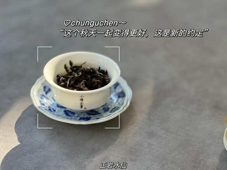 十年前获的奖，能代表今年的制茶技术吗？