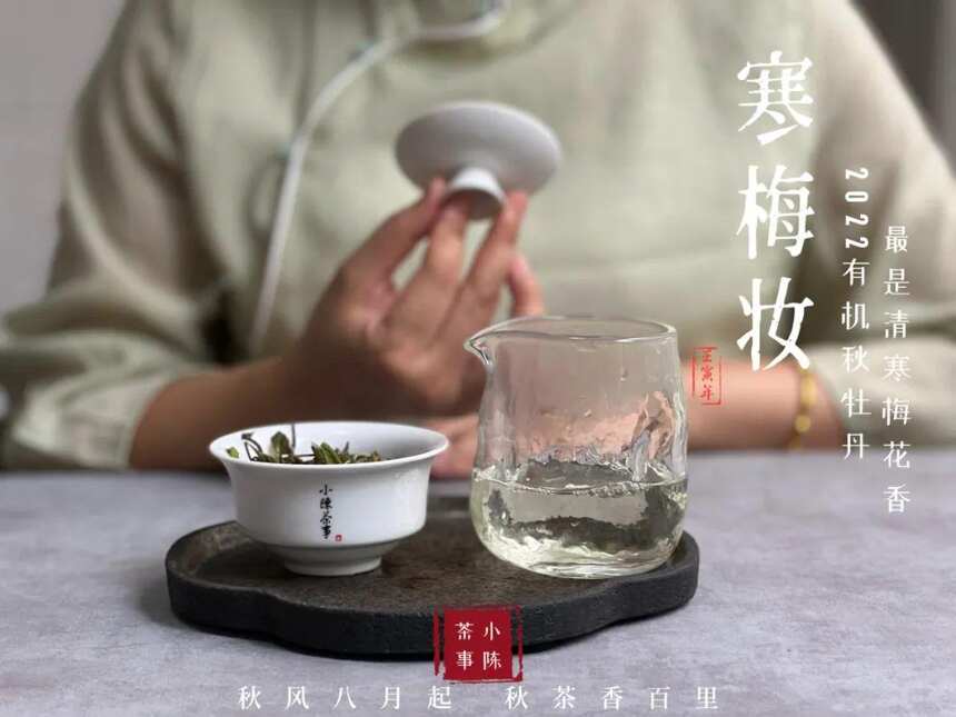 绿茶、花茶、普洱爱好者，尝试喝白茶换口味，入门茶该怎么搭配？