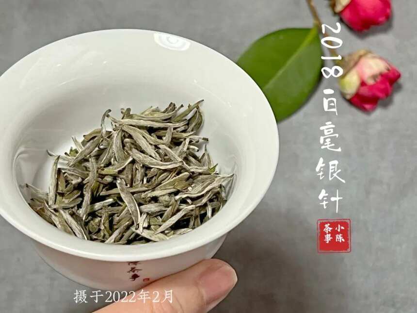 300元，连一斤白毫银针的茶青都收不到，你是怎么买到成品茶的？