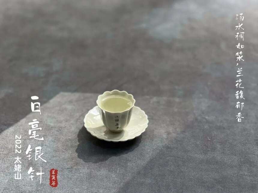 绿茶、花茶、普洱爱好者，尝试喝白茶换口味，入门茶该怎么搭配？