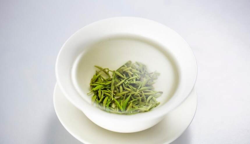 茶叶-白茶和绿茶有什么区别（4个不同点！）