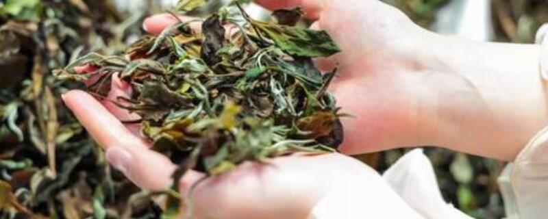 茶叶的花香是什么物质