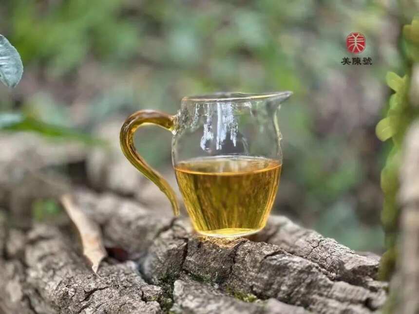 昔归古树白茶｜还原大自然赋予茶最真实的本味