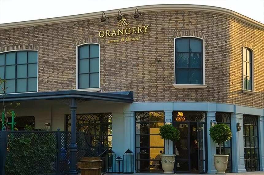 文圣茶说丨Orangery 茶室品牌形象