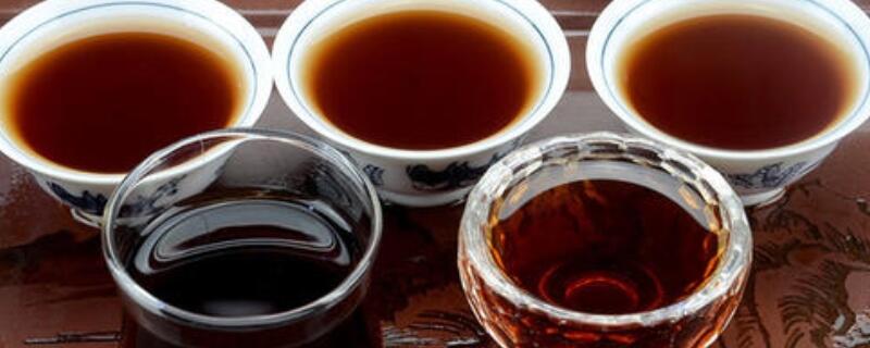 餐饮茶是什么茶叶