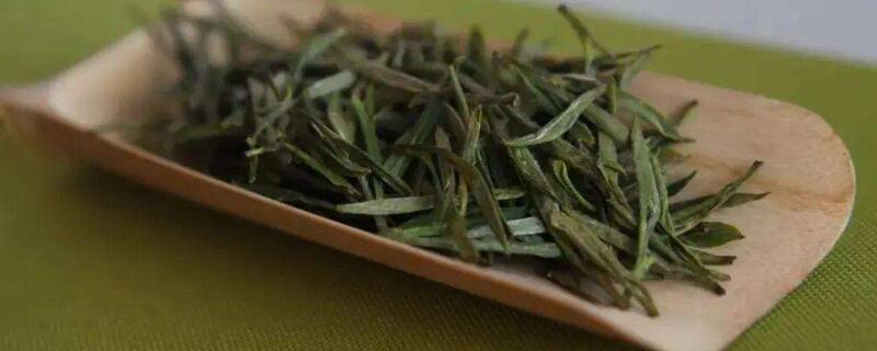 安徽舒城出产什么茶叶