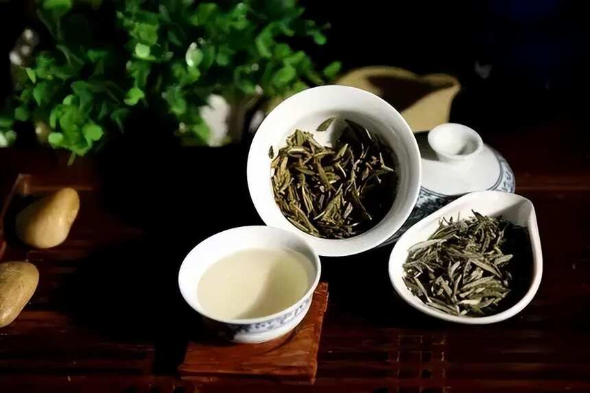 一文弄懂白茶和绿茶的区别