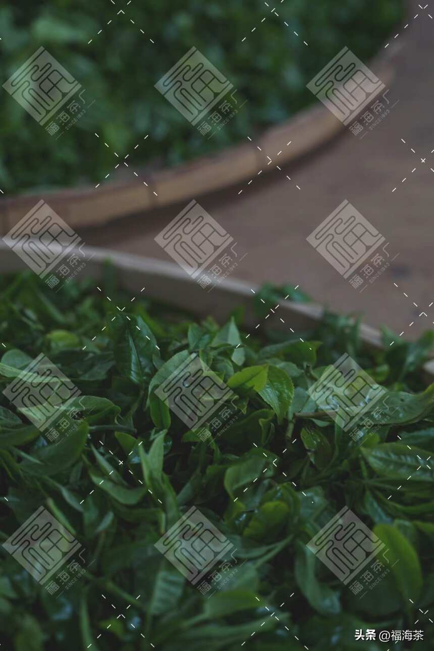 擎天· 那卡竹筒茶 | 原生态普洱茶文化的超级符号