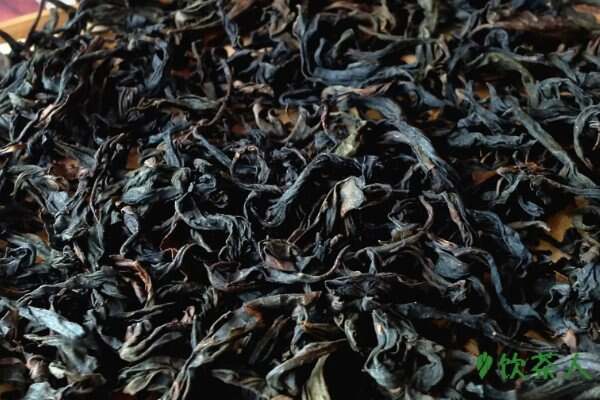乌龙茶的制作工艺流程，乌龙茶是怎么制作的