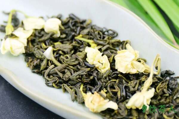 茉莉花茶属于绿茶吗，茉莉花茶和绿茶是一种茶吗