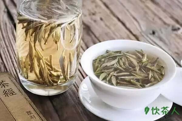 白茶属于绿茶吗，白茶属于什么性质的茶