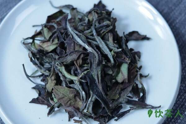 乌龙茶有哪些品种，乌龙茶著名的品种有哪些