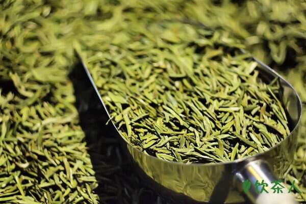 绿茶如何保存最好，绿茶用什么容器保存比较好