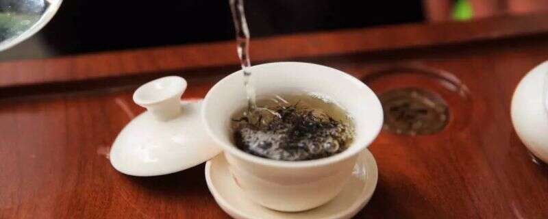 四季春茶属于什么茶