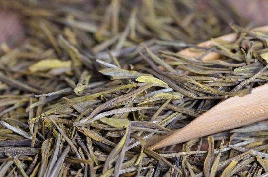 白茶属于什么茶种